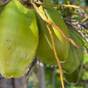 Meet your Posher, Melinda